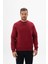 Erkek Regular Fit Bisiklet Yaka Sweatshirt K24124909601 1