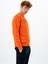 Erkek Regular Fit Bisiklet Yaka Sweatshirt K26124925301 4