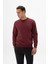 Erkek Regular Fit Bisiklet Yaka Sweatshirt K24124909601 3