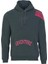 Erkek Kapüşonlu Sweatshirt K22254919801 1