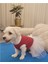 Beyaz Fiyonklu Tüllü Kırmızı Kedi Köpek Kıyafeti Elbisesi 2