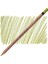 Metallic Pencil (Metalik Kuru Boya Kalemi) Yellow (86) 1