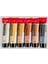 Standart Seri Akrilik Boya Set Metalik Seti 6 x 20 ml Metallics 4
