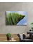 Yeşil Bitki Cam Tablo Green Plant 2