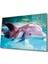 Eliza Home Yunus Balığı Cam Tablo Dolphin 1