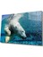 Eliza Home Beyaz Ayı Cam Tablo White Bear In Sea 1