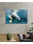Eliza Home Beyaz Ayı Cam Tablo White Bear In Sea 2