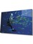 Eliza Home Dalgıç Balık Sualtı Diver Fish Underwater 1