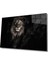 Aslan Cam Tablo 1