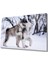 Eliza Home Kurt Köpeği Cam Tablo 1