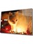 Eliza Home Beyaz Kedi ve Sarı Işık Cam Tablo Yellow Cat And Lights 1