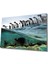 Eliza Home Penguenler Cam Tablo 1