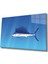 Eliza Home Balık Cam Tablo Fish 1