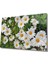Eliza Home Papatya Çiçek Cam Tablo Daisy Flower 1