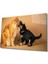 Kedi Köpek Cam Tablo 1