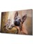Eliza Home Kuş ve Köpek Cam Tablo 1