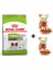 Xsmall Ageing +12 Köpek Maması 1,5 kg + 2 Adet Wooc Ödül 80 gr 1