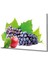 Eliza Home Elma ve Üzüm Cam Tablo Apple And Grape Art 1