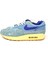 Air Max 1 Prm DV3050 300 DV3050-300 5