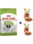 Adult x Small Köpek Maması 1,5 kg + 2 Adet Wooc Ödül 80 gr 1