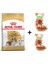 Cavalier King Charles Yetişkin Köpek Maması 1,5 kg + 2 Adet Wooc Ödül 80 gr 1