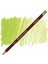 Pastel Pencil (Pastel Boya Kalemi) May Green (P480) 1