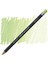 Procolour Pencil (Kuru Boya Kalemi) Light Moss (45) 1