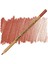 Rembrandt Polycolor Prof. Kuru Boya Kalemi Venetian Red 90 1