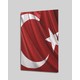 Seçili Renk Renkli