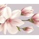 Kt Grup Muhteşem Soft Renk Çiçekler Royalty Duvar Sticker Seti