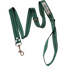 Balkonda Köpek gezdirme kayışı tasması yeşil beyaz şeritli floş kolon genişlik:2,5cm uzunluk:120cm dog leash B3-7