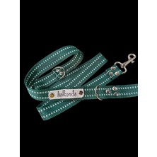 Balkonda Köpek gezdirme kayışı tasması yeşil beyaz şeritli floş kolon genişlik:2,5cm uzunluk:120cm dog leash B3-7