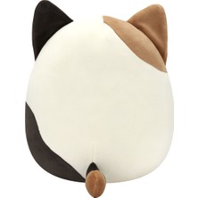 Squishmallows Squishmallow Şapkalı Kedi Cam 20 cm