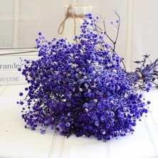 Netten Evime Kuru Çiçek Doğal Mor Cipso 50GRAM 1. Kalite Şoklanmış Bozulmaz