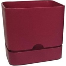 Viyalente Saksı Begonya Kare 16 cm Bordo