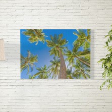 Reysa Tasarım Palmiye Ağacı Posteri 35X50 cm