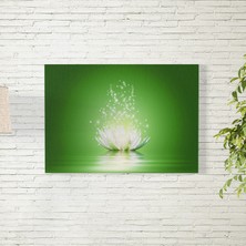 Reysa Tasarım Yeşiş Arkaplanlı Lotus Çiçeği Poster 35X50 cm