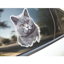 Sticker Master British Shorthair Cat Kedi Motorsiklet, Kask,laptop ve Araç Sticker Etiket 14X15 cm