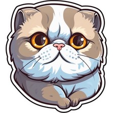 Sticker Master Scottish Fold Cat Kedi Motorsiklet, Kask,laptop ve Araç Sticker Etiket 14X15 cm