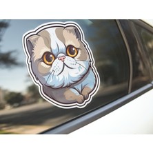 Sticker Master Scottish Fold Cat Kedi Motorsiklet, Kask,laptop ve Araç Sticker Etiket 14X15 cm