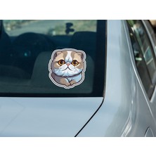 Sticker Master Scottish Fold Cat Kedi Motorsiklet, Kask,laptop ve Araç Sticker Etiket 14X15 cm