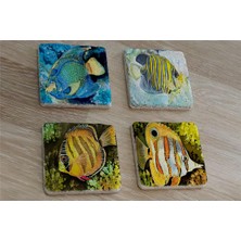 Tablosan Renkli Balıklar Doğal Taş Bardak Altlığı 4'lü Set - Natural Stone Coasters