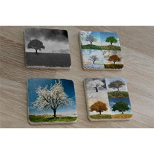 Tablosan Dört Mevsim Ağaçlar Doğal Taş Bardak Altlığı 4'lü Set - Natural Stone Coasters