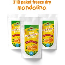 Saga Fresh 3'lü Dondurularak Kurutulmuş Mandalina Dilimleri (3*15g)