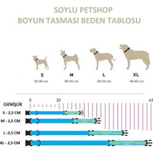 Soylu Pet İsme Özel Köpek Tasması