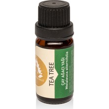 Therapium Naturalis Çay Ağacı Yağı - Melaleuca Alternifolia - 10 ml