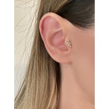 OkkoStore Kadın Gold Renkli Yaprak Tragus Kıkırdak Piercing