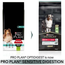 Pro Plan Medium Kuzu Etli Orta Irk Yetişkin Köpek Maması 14kg