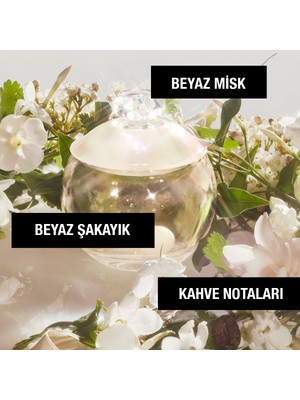 Cacharel Noa Edt 100 ml Kadın Parfümü