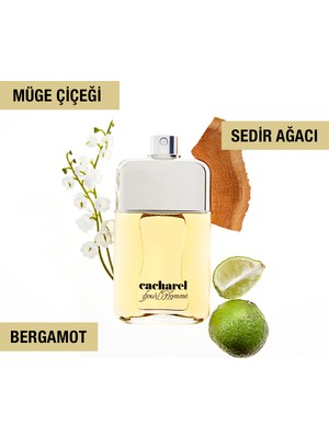 Cacharel Pour Homme Edt 100 ml Erkek Parfümü